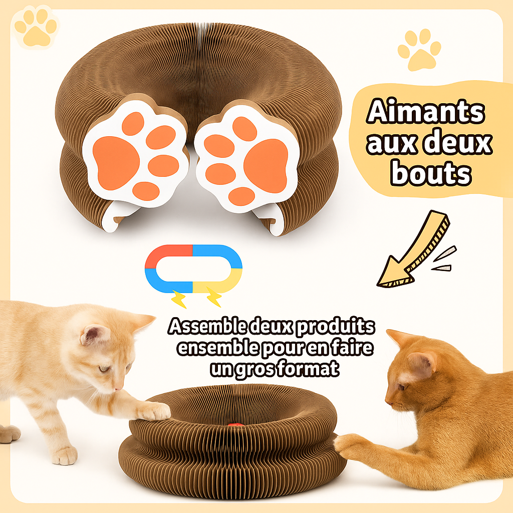 Kitty Kurlz™ – Le Jouet Interactif Ultime pour Chats 🐱